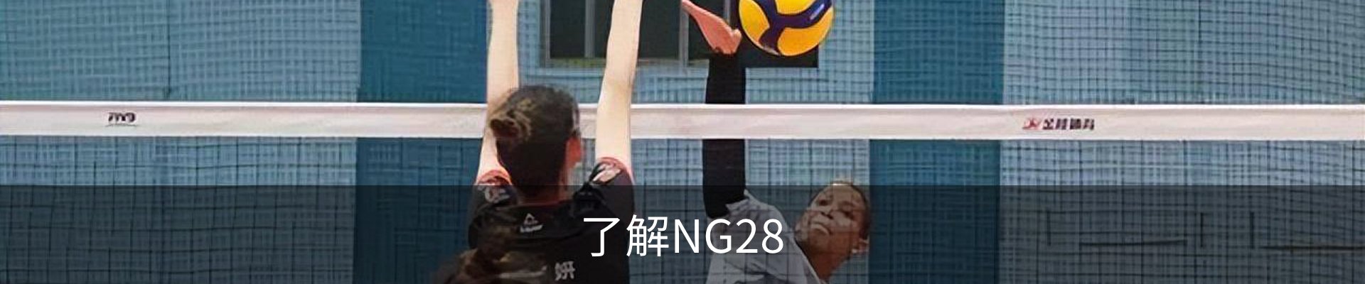 了解NG28